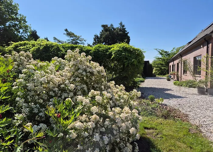 Dom wakacyjny Joghmanstuin