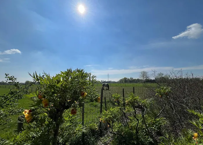 Joghmanstuin * Kapel-Avezaath